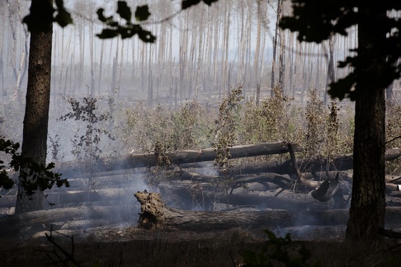 18.06.2022, Brandenburg, Treuenbrietzen: Rauch steigt in einem Waldstück im Ortsteil Frohnsdorf auf. Dort bekämpfen zahlreiche Feuerwehren aus der Region seiit gestern einen Waldbrand.
Der Brand zwis ...