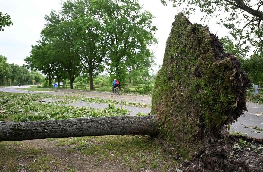 Cyclists drive past an uprooted tree on the side of a road the day after a storm caused major damage in Hellinghausen-Lippstadt, western Germany, on May 21, 2022. - Almost 40 people were injured, seve ...