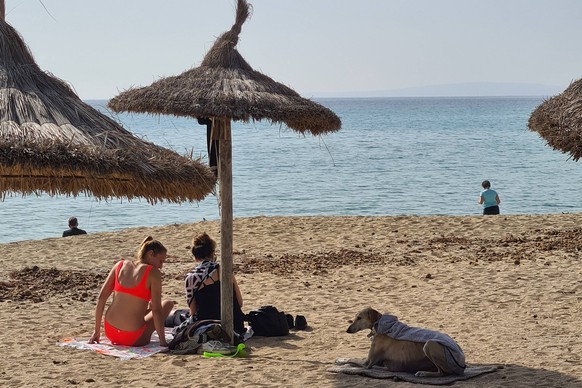 Can Pastilla Themenfoto: Reise, Fruehling, Saisonbeginn, Mallorca, Spanien, 22.02.2023 Zwei junge Frauen und ein Hund geniessen die ersten Sonnenstrahlen an der Playa de Palma auf Mallorca, Themenfoto ...