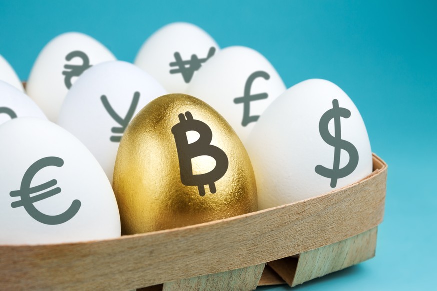 Die Krypto-Kurse fallen – können ominöse Telegram-Gruppen unsere Coins retten? 