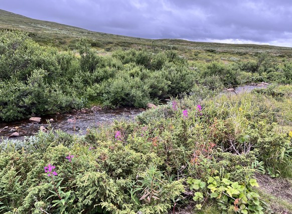 Der Landschaft haftet etwas Mystisches an.