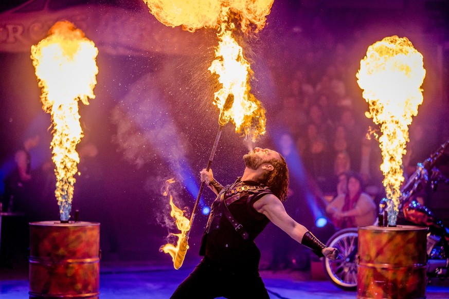 Stars in der Manege