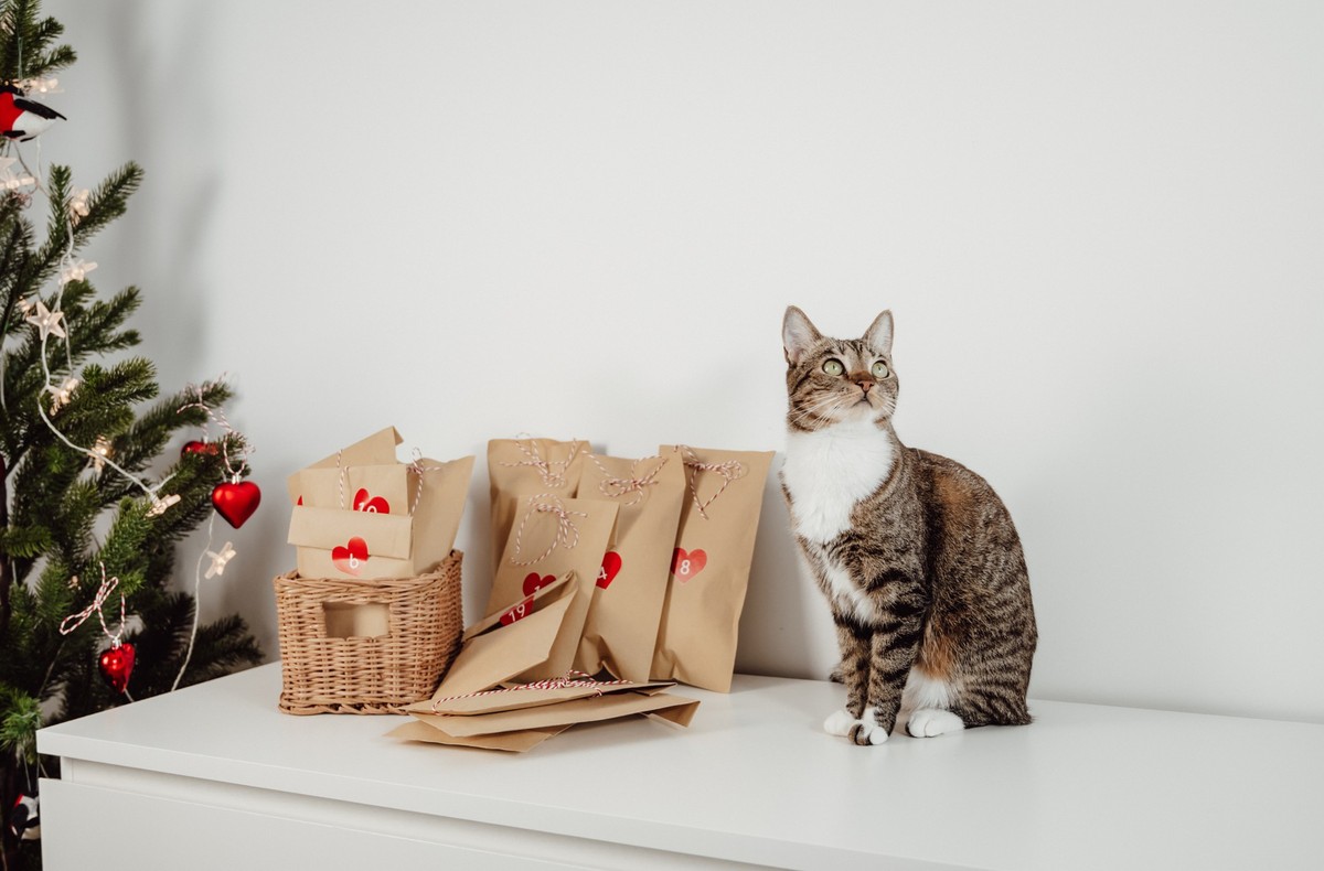 Woman with christmas calendar with gifts
At home with presents for each day of december