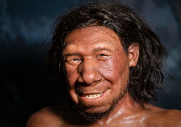 A picture taken on September 6, 2021 shows the reconstruction of the face of the oldest Neanderthal found in the Netherlands, nicknamed Krijn, on display at the National Museum of Antiquities in Leide ...