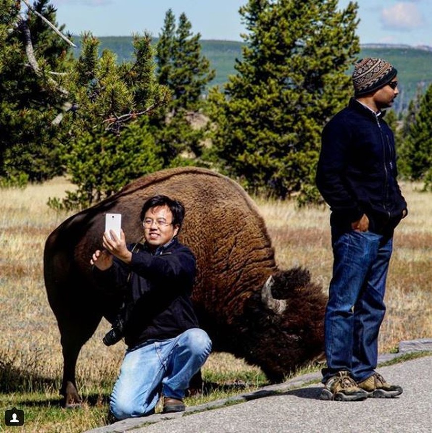 Für den perfekten Instagram-Moment zerstören diese Touristen die Natur