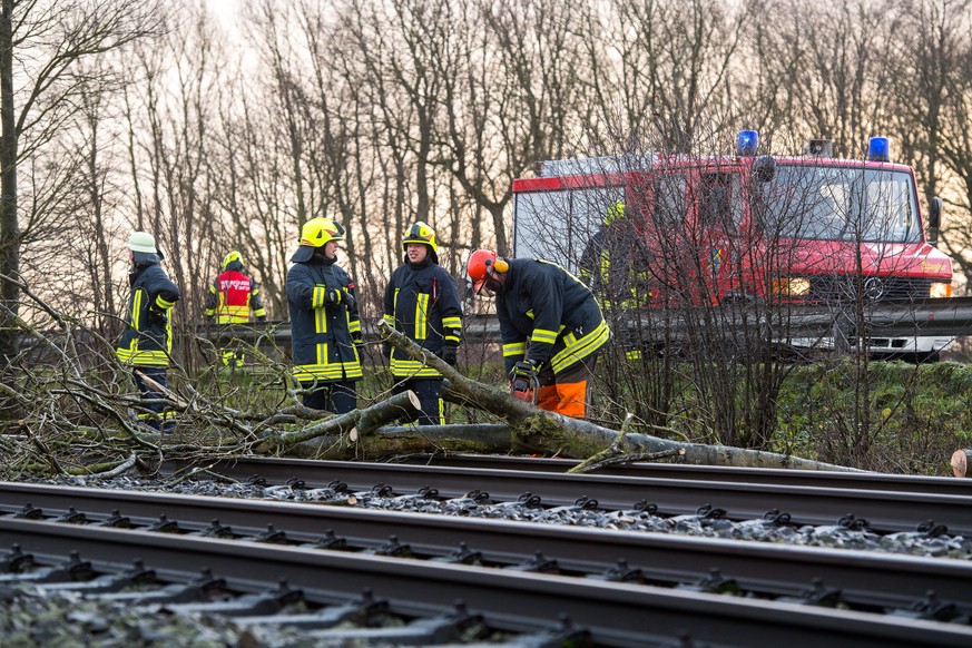 Feuerwehrleute beseitigen ein umgestürzten Baum von den Bahngleisen.