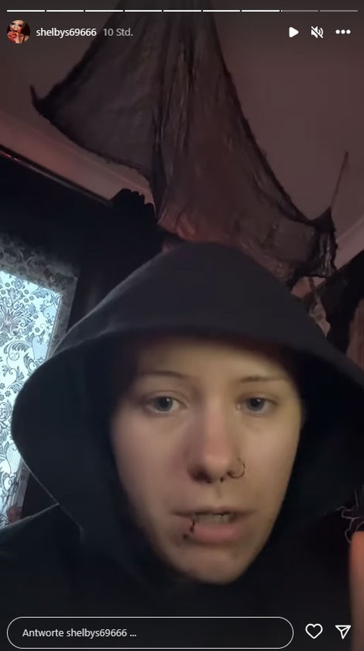 Shelby Lynn macht eine deutliche Ansage in ihrer Instagram-Story.