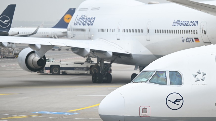 15.02.2023, Hessen, Frankfurt/Main: Maschinen der Lufthansa sind am Terminal 1 am Flughafen Frankfurt zu sehen. Eine Panne bei Bauarbeiten in Frankfurt hat zu einem Flugchaos bei der Lufthansa gef