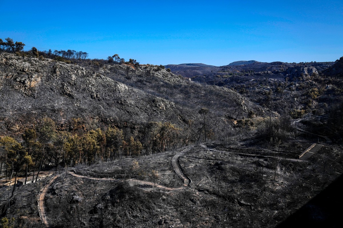 ARCHIV - 15.08.2024, Griechenland, Marathon: Blick über das verbrannte Waldgebiet in der Nähe der griechischen Hauptstadt. Es war der bislang größte Waldbrand des Jahres. (zu dpa: «Griechenland: Jetzt ...