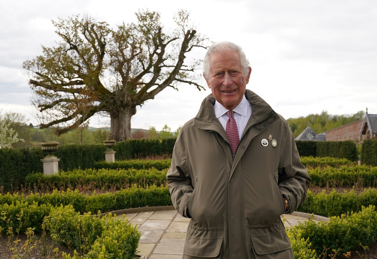 ARCHIV - 25.04.2022, Gro�britannien, Edinburgh: Charles, der damalige Prinz von Wales, Schirmherr von The Queen&#039;s Green Canopy (QGC), steht neben der &quot;Alten Platane&quot; im Garten von Dumfr ...