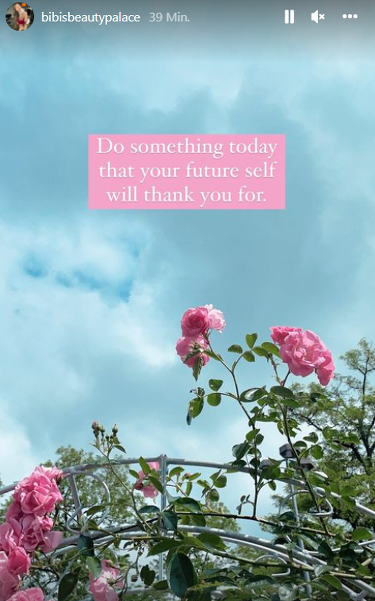 Bibi Claßen veröffentlichte diesen Spruch in ihrer Instagram-Story.