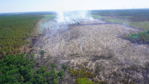 HANDOUT - 18.06.2022, Brandenburg, Frohnsdorf: Das Luftbild zeigt ein Areal des Waldbrandgebiets bei Treuenbrietzen. Die Feuerwehr k�mpft weiter gegen den Brand in einem Waldst�ck in der N�he der bran ...