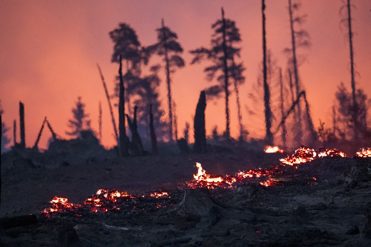 dpatopbilder - 02.07.2025, Thüringen, Reichmannsdorf: Der Waldboden brennt in einem Waldstück der Saalfelder Höhe. Wegen des Waldbrands im Landkreis Saalfeld-Rudolstadt wurde Katastrophenalarm ausgelö ...
