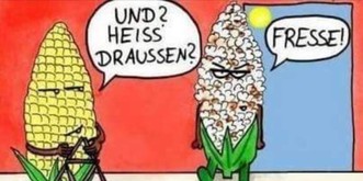 Ja, es ist heiß, aber diese 7 Witze zur Hitzewelle sind noch heißer! 