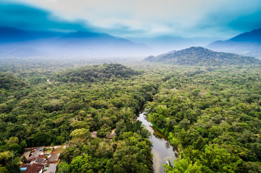 Aerial View of Amazon Rainforest, South America