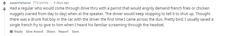 "Als ich im Drive-Thru gearbeitet habe, hatte ich einen Stammkunden, dessen Papagei immer wütend nach Pommes oder Chicken-Nuggets verlangte (je nachdem), sobald sie an der Sprechanlage hielten. Der Fa ...