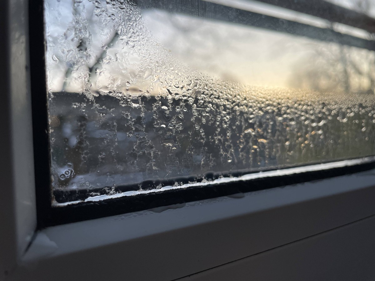 Kondenswasser an einem Fenster im Winter 30.11.2023 *** Condensation on a window in winter 30 11 2023