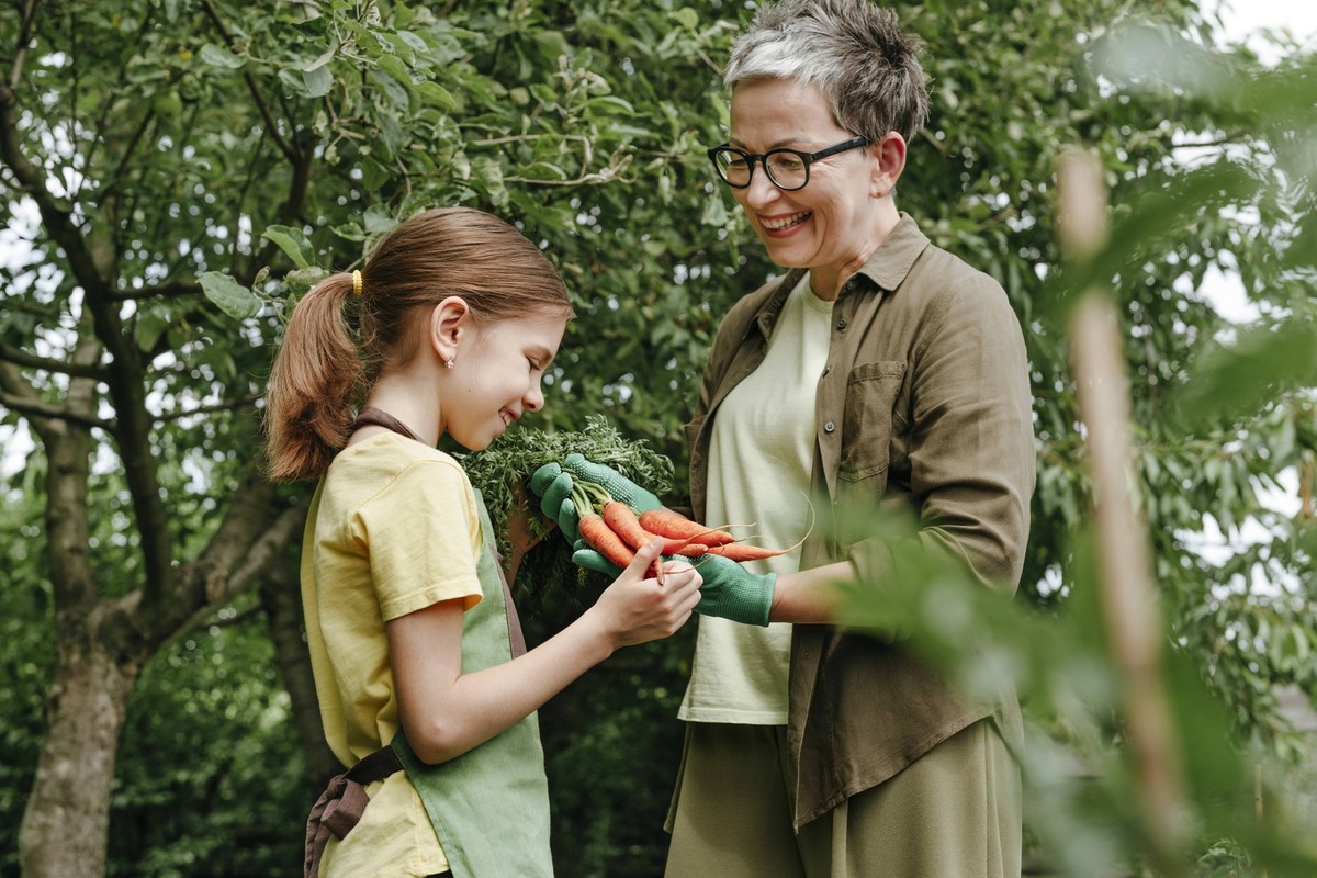Grandmother and girl harvesting vegetables together on a summer farm model released, Symbolfoto, YTF04042