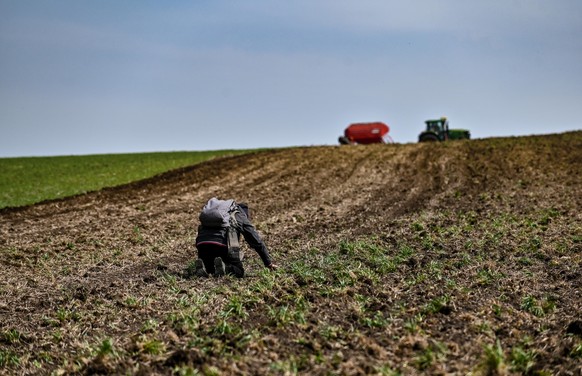 ZAPORIZHZHIA REGION, UKRAINE - APRIL 08, 2022 - An agrarian wears a bulletproof vest during the sowing which takes place 30 km from the front line, Zaporizhzhia Region, southeastern Ukraine, Credit:Dm ...