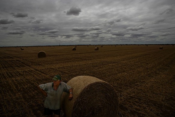 (AUSTRALIA OUT) Ron Pollington at his property Brentwood near Nullawil where his wheat crop failed to seed up in the heads due to lack of rain, so it was cut and bailed it for hay to sell. 31 October  ...