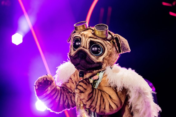 30.10.2021, Nordrhein-Westfalen, Köln: Die Figur &quot;Der Mops&quot; steht in der Prosieben-Show &quot;The Masked Singer&quot; auf der Bühne. Foto: Rolf Vennenbernd/dpa +++ dpa-Bildfunk +++