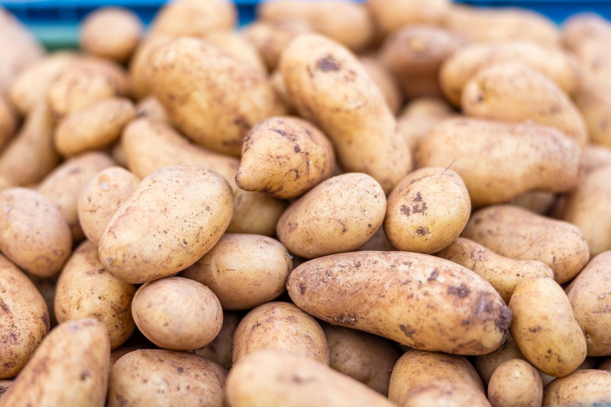 PRODUKTION - 12.04.2025, Brandenburg, Cottbus: Kartoffeln liegen am Verkaufsstand auf einem Wochenmarkt in einer Kiste. (zu dpa: «Bekämpfung von Zikaden nun auch bei Kartoffeln») Foto: Frank Hammersch ...