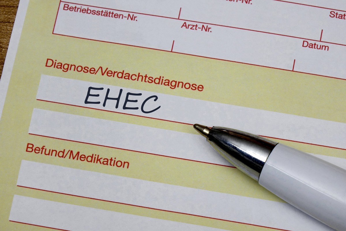 Arbeitsunfähigkeitsbescheinigung und Diagnose EHEC Fotomontage: Arbeitsunfähigkeitsbescheinigung und Diagnose EHEC, 02.09.2025, Borkwalde, Brandenburg, Auf einer Arbeitsunfähigkeitsbescheinigung befin ...