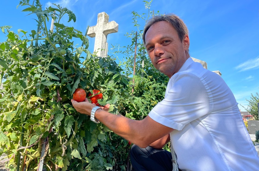 Auf manchen Gräbern auf dem Matzleinsdorfer Friedhof in Wien wachsen Tomaten.