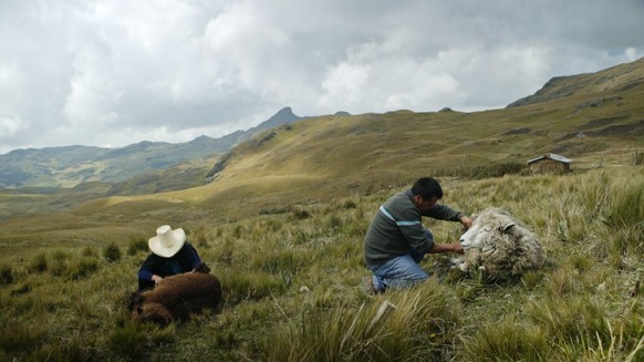 Máxima Acuña und ihr Mann Jaime Chaupe halten auf ihrem Land Schafe. Aus der Wolle strikt Máxima Kleider, die sie auf dem Markt verkauft.