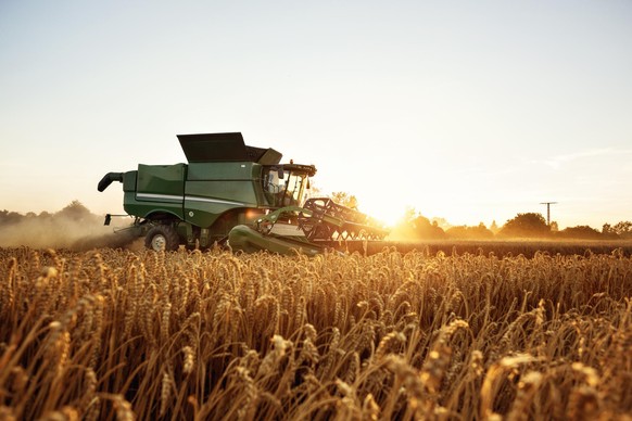 Die Ukraine ist ein wichtiger Exporteur für Getreide wie Weizen oder Raps. 