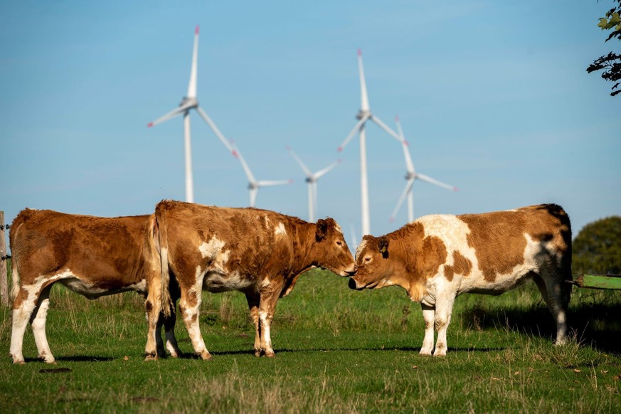 Aktuell wird über ein verbindliches Tierhaltungs-Logo für Fleisch disktutiert.