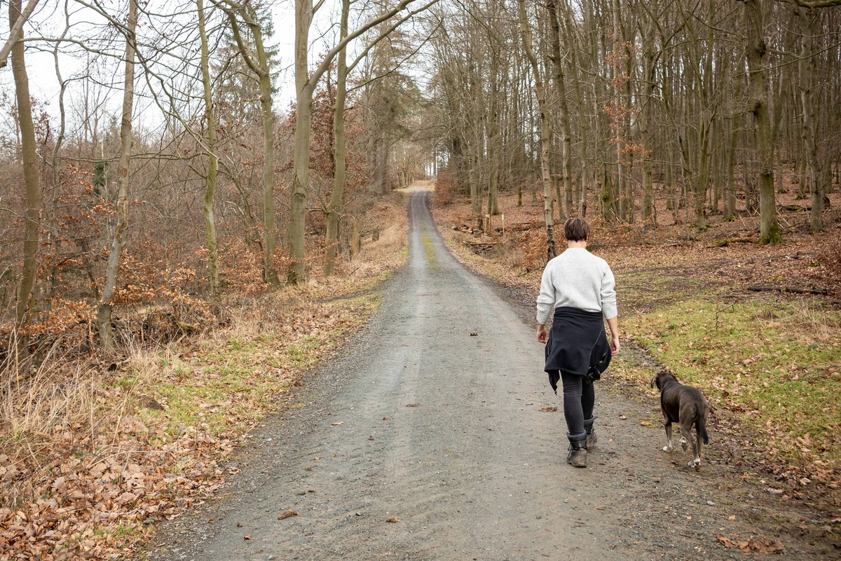 Herbstliche Winterwanderung: Frau und Hund im Wald 10.02.24, Selters: Symbolfoto, Illustrationsbild, Symbolbild, Illustrationsfoto Herbstliche Winterwanderung: Frau und Hund im Wald Eine Frau genießt ...