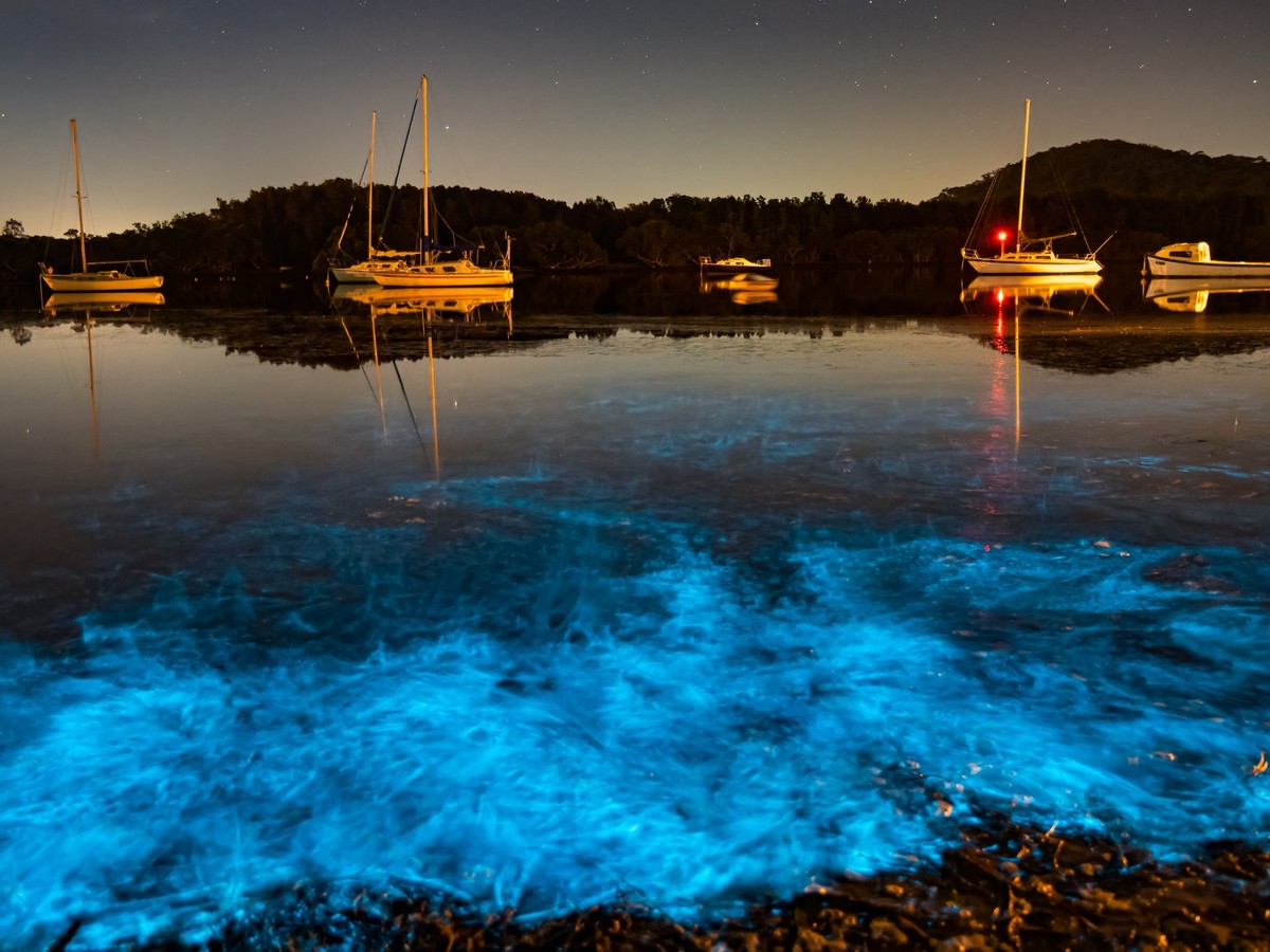 Biolumineszenz: An diesen Orten kannst du das Meer leuchten sehen