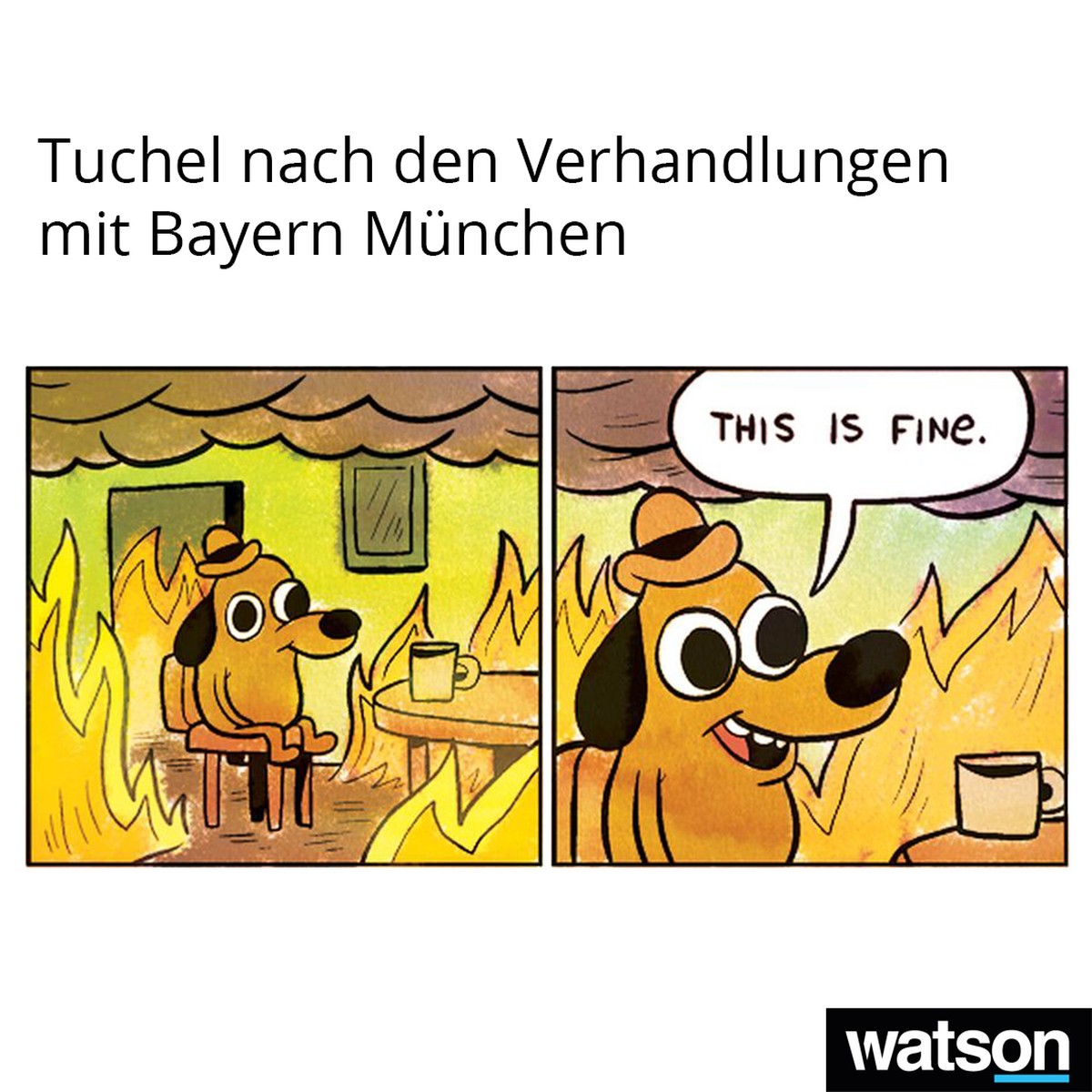 Tuchel Memes