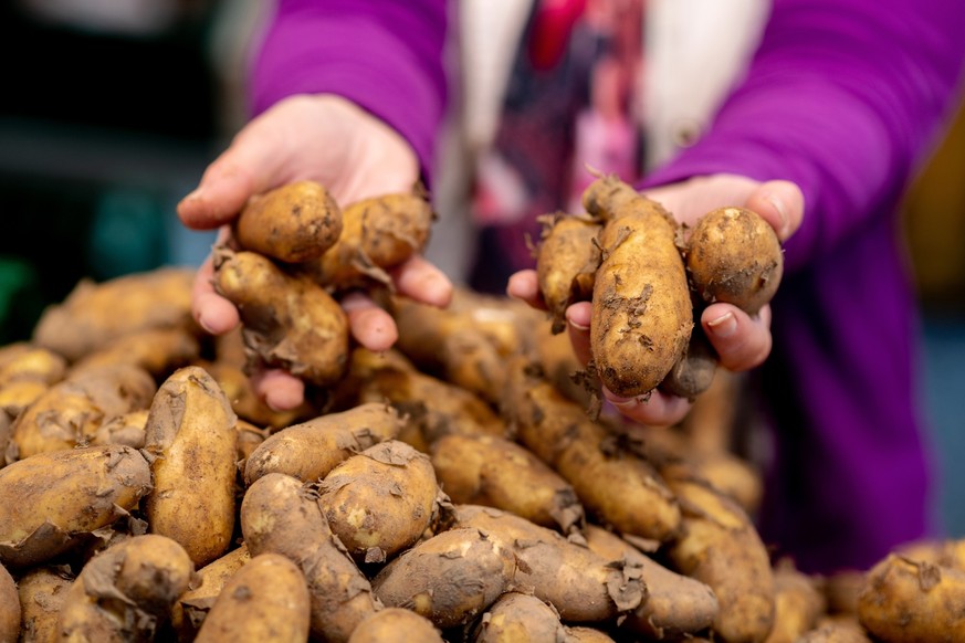 30.05.2024, Niedersachsen, Oldenburg: Eine Verkäuferin greift an einem Obst- und Gemüsestand auf dem Wochenmarkt in eine Kiste mit Kartoffeln. Die Lebensmittelpreise tragen nicht unerheblich zur Infla ...