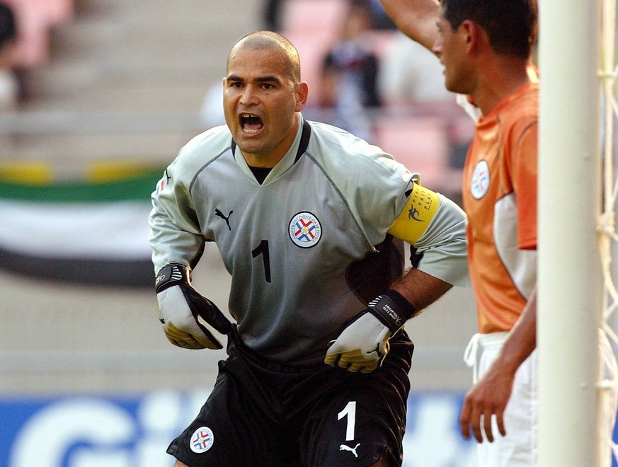 Ordentlicher Brecher: José Luis Chilavert