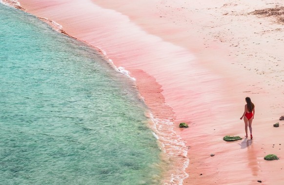 The famous pink beach in the komodo National Park