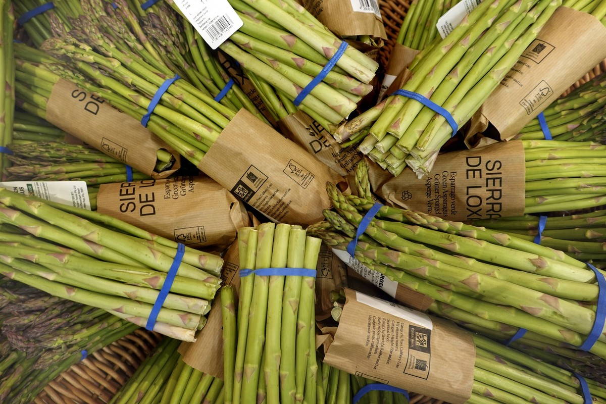 Spargel, Gemuese-Spargel, Gemuesespargel Asparagus officinalis, importierter gruener Spargel in einem Lebensmittelgeschaeft, Deutschland Garden Asparagus, Sparrow Gras, Wild Asparagus Asparagus offici ...
