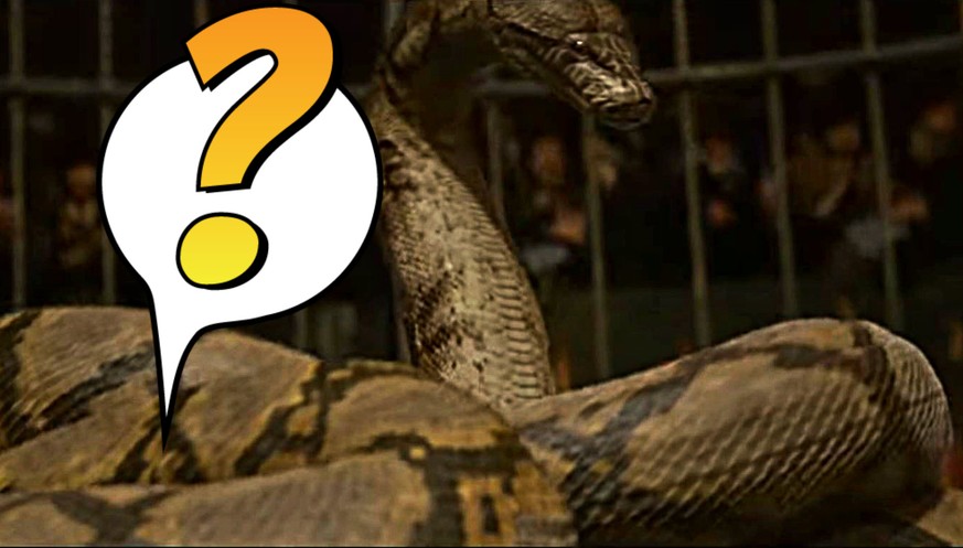 Pssssssst.... Ein 20 Jahre altes Harry-Potter-Geheimnis wird gelüftet!