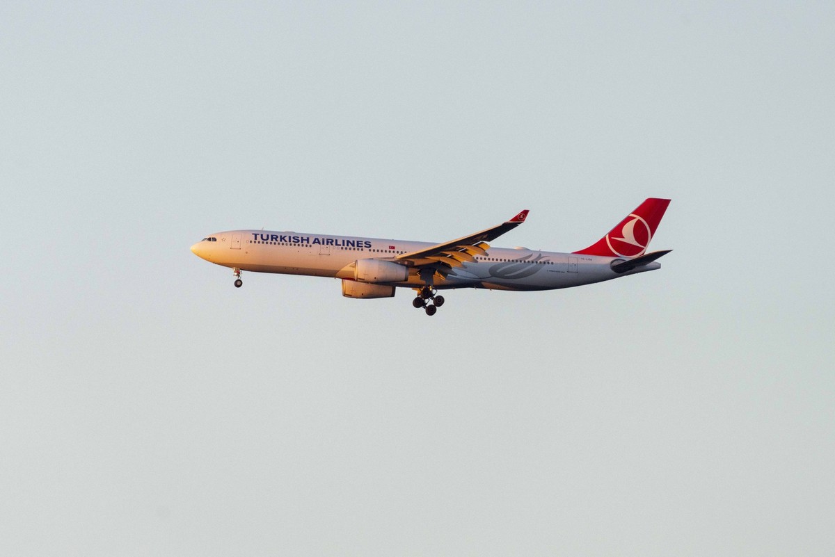 Turkish Airlines Airbus A330-300 at Frankfurt Airport, registration TC-LOA. Frankfurt am Main Hesse Germany