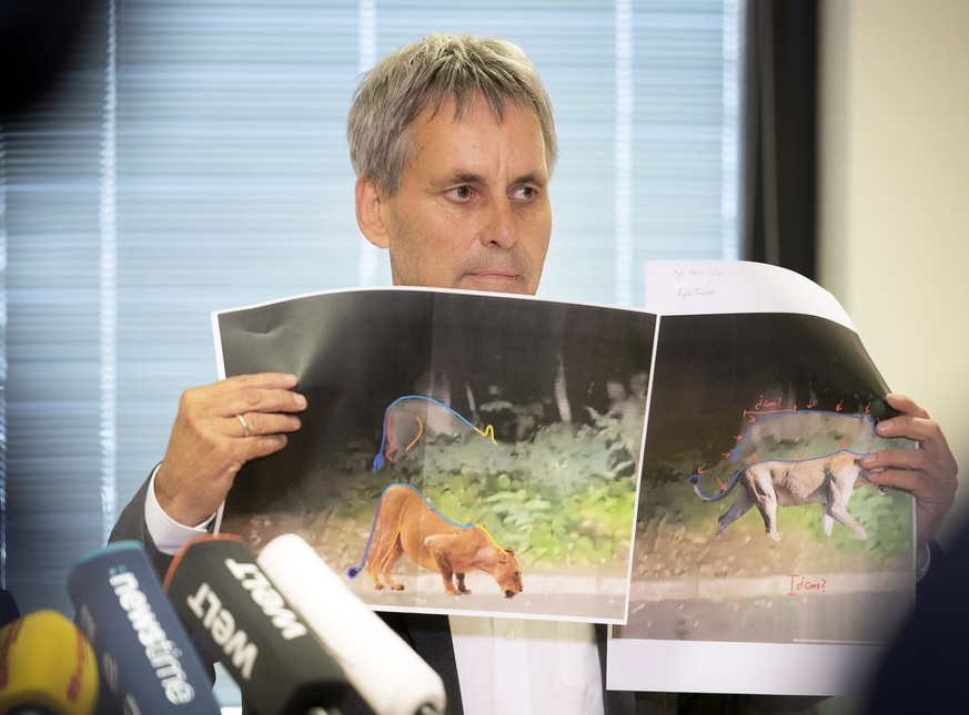 21.07.2023, Brandenburg, Kleinmachnow: Michael Grubert (SPD), Bürgermeister von Kleinmachnow, erklärt bei einem Pressegespräch anhand von Fotos, weshalb es sich bei dem gesuchten Raubtier um keine Löw ...