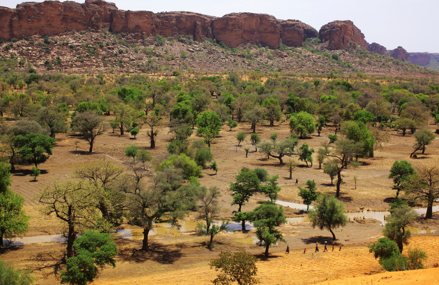 Die Sahelzone ist eine Region in Afrika, die besonders vom Klimawandel betroffen ist.