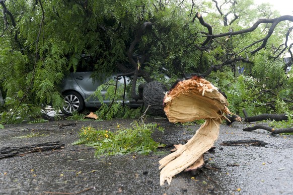 17.12.2023, Argentinien, Buenos Aires: Ein Auto ist nach einem Sturm von umgestürzten Bäumen bedeckt. Bei einem heftigen Unwetter an der argentinischen Atlantikküste sind mehrere Menschen ums Leben ge ...