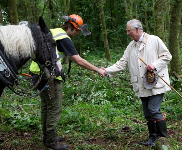 LLANDOVERY, UNITED KINGDOM - JULY 10: Prince Charles, The Prince Of Wales watches apprentices from British Horse Loggers logging in woodland on his Llwynywermod Estate on July 10, 2012 in Llandovery,  ...