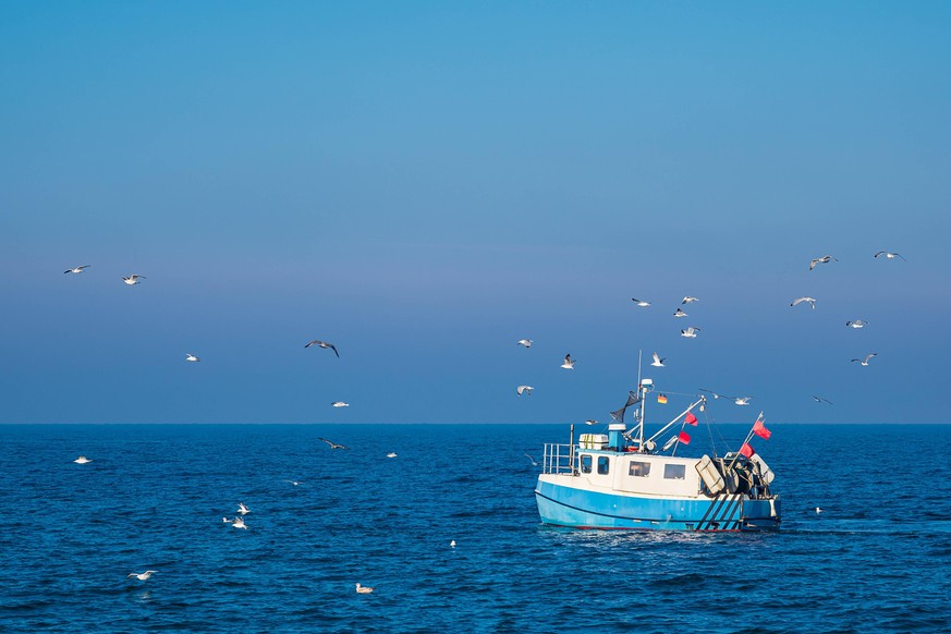 ostsee,fischkutter,boot,boote,fischerboot,fischerboote,kutter *** baltic sea,fishing boat,baltic seas,fishing boats lsz-khe