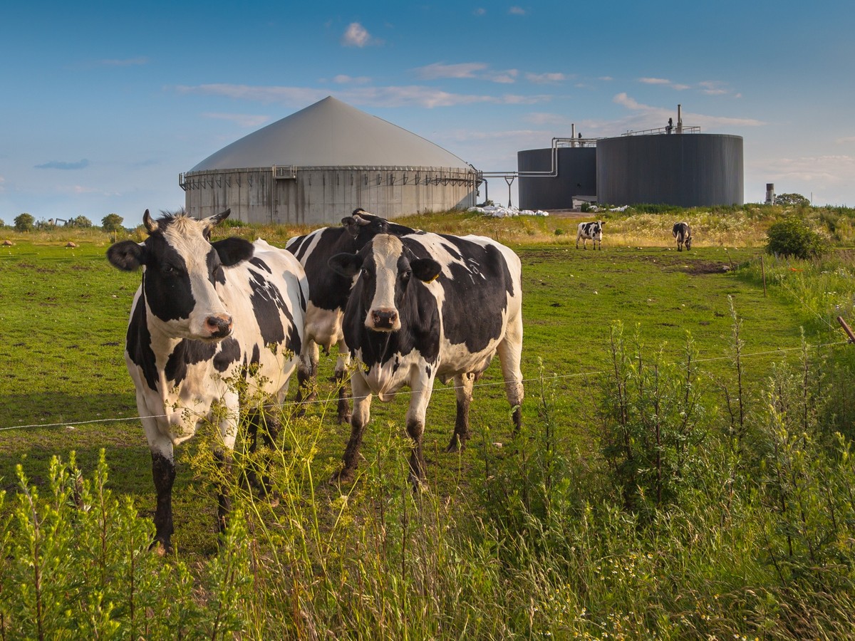 Biogas ist ein brennbares Gas, das durch Vergärung von Biomasse entsteht.