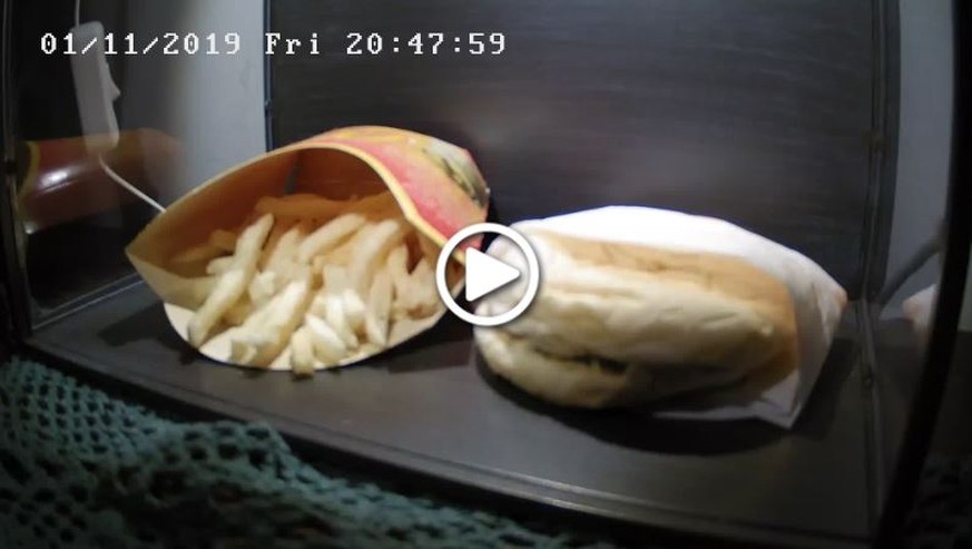 Yummy... also eher nicht: Die Packung Pommes und der Burger im Livestream.