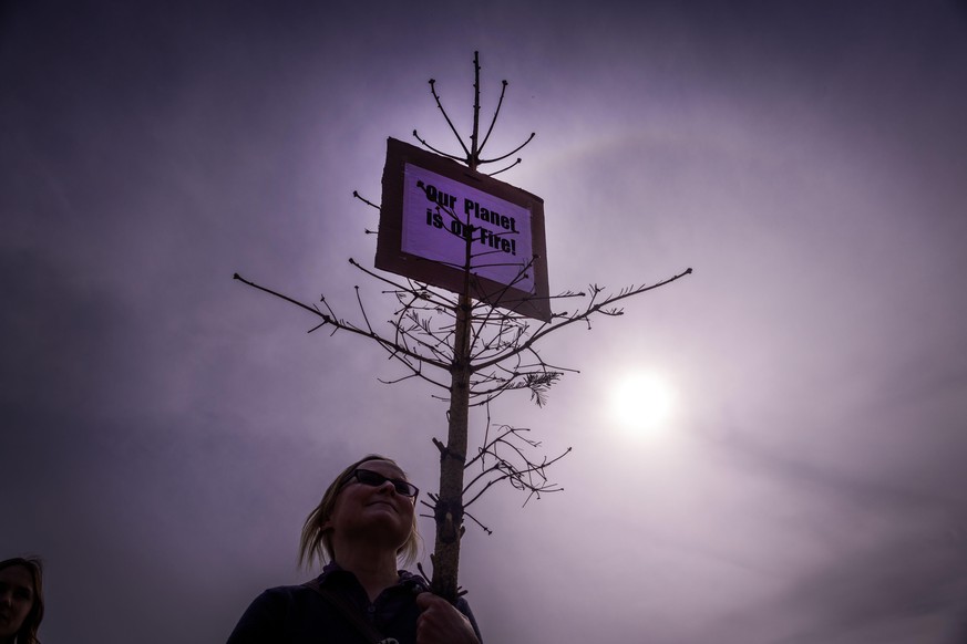 Eine Teilnehmerin der Protestaktion von Aktivistinnen und Aktivisten von Fridays for Future trägt auf dem Alten Garten vor dem Schloss einen vertrockneten Baum mit einem Schild mit der Aufschrift „Our ...