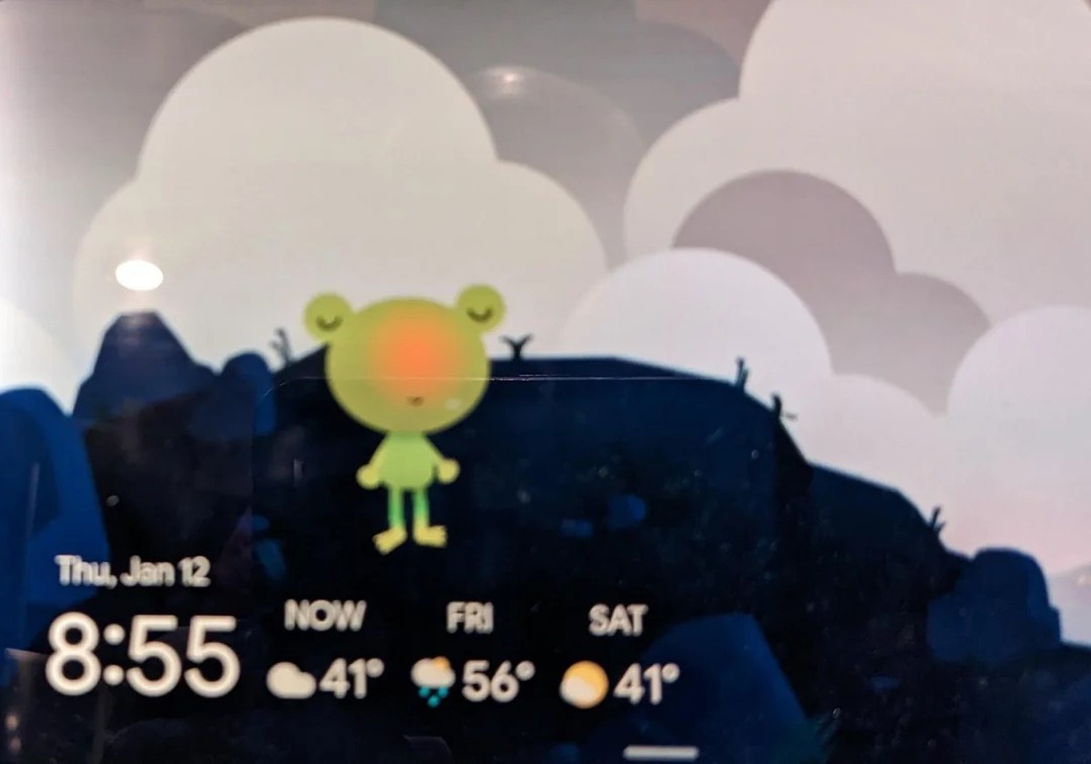Froggy musste seine Augen für immer schließen.