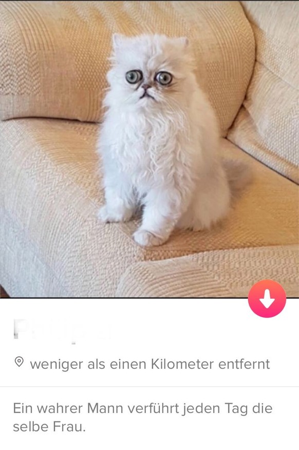 Tinder Diese ProfilSprüche sind lustig